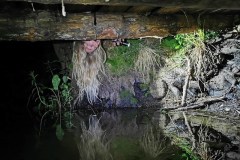 acb55bfb-66d0-4ddd-8d6f-d628ea1623e7_l