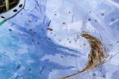 468460294_1098267731810467_1112534311750948436_n