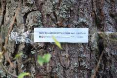 468536985_1098924251744815_2970347874390426374_n