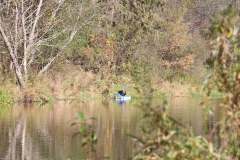 468553249_1098924301744810_5608135220093215385_n