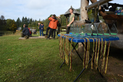 481207037_1211186834340209_790336403997338462_n