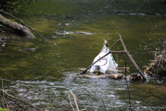 489318460_1244907394301486_798051188421560483_n