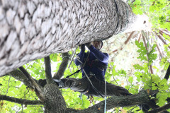 489955662_1244906620968230_53270466992993225_n