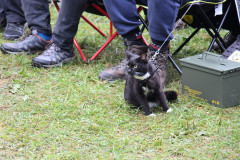 490022654_1244907284301497_175377065667776108_n