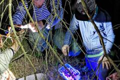 202074229_333483421622239