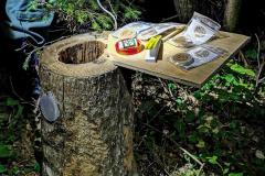 202593464_333483294955585