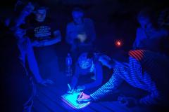 202767432_333483111622270