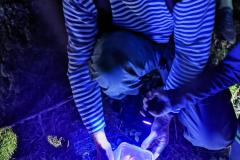 202834370_333483358288912