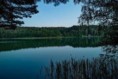 203091264_333483491622232