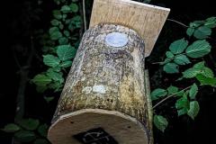 203545508_333483281622253